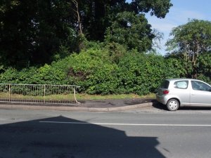 m_2009_08072009July0012